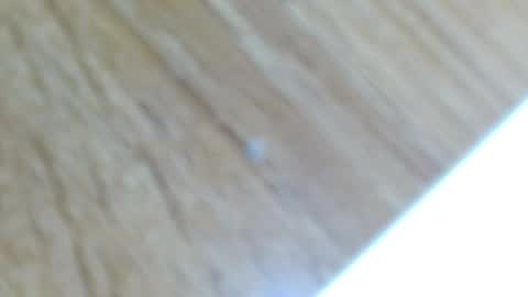 Snapshot of lucie_nicolls chatting on 13, 12, 2024 Lucie   online show from 13, 12, 2024