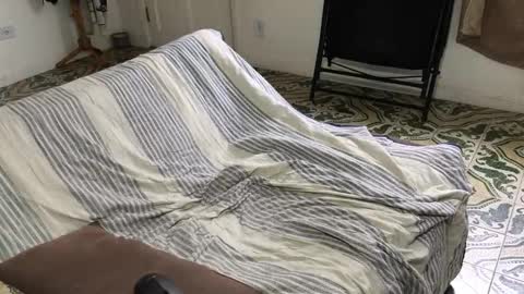 lucifer_curious online show from 8, 11, 2025