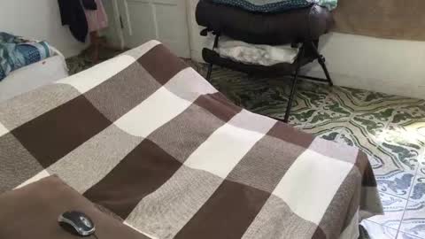 lucifer_curious online show from 23, 3, 2026