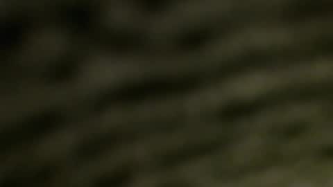 lucretiasissygothic online show from 25, 11, 2025