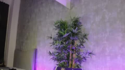 lucyrayy online show from 4, 2, 2026