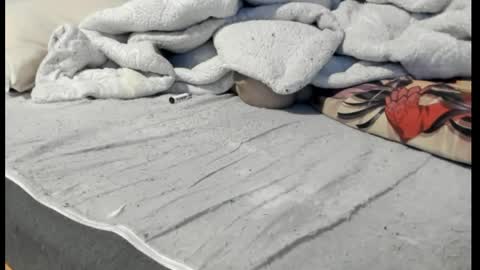 luffykun300 online show from 6, 4, 2026