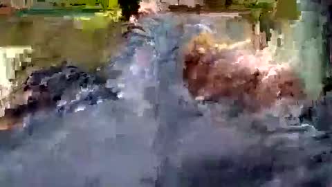 Snapshot of luis_hunk chatting on 22, 10, 2025 Andrew online show from 22, 10, 2025