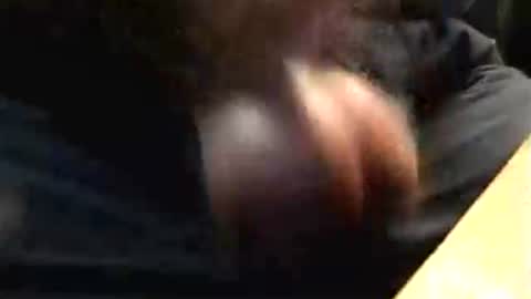 Snapshot of lukestarfckr chatting on 17, 10, 2025 lukestarfckr online show from 17, 10, 2025