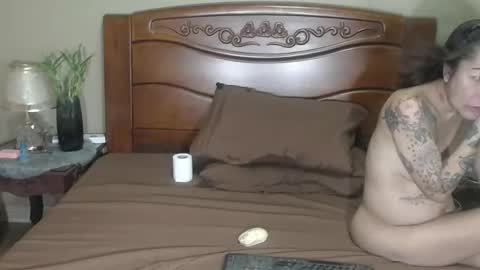 lulu_wild online show from 1, 4, 2026