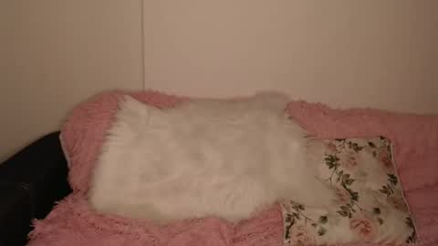 Snapshot of luna_moon77 chatting on 13, 2, 2026 Luna online show from 13, 2, 2026