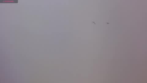 Snapshot of luna_naughty66 chatting on 17, 11, 2025 Luna and Rick online show from 17, 11, 2025