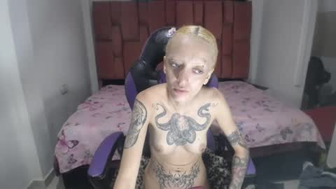 Luna online show from 6, 12, 2024