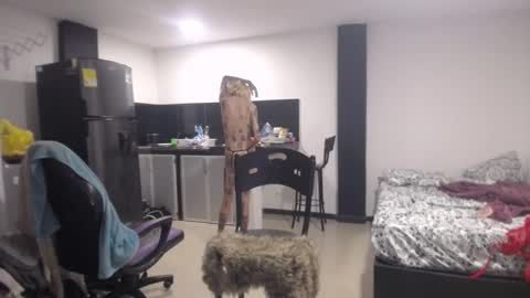 Luna online show from 7, 3, 2025