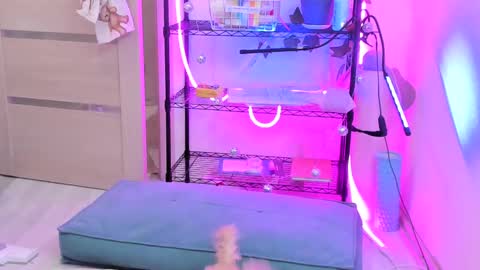 Kate online show from 14, 2, 2025