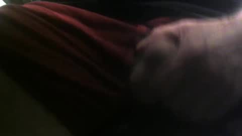 lunatica12 online show from 23, 2, 2025