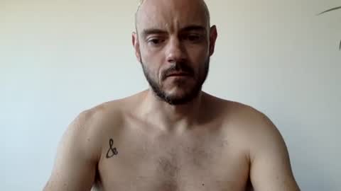 Lupine online show from 9, 9, 2025