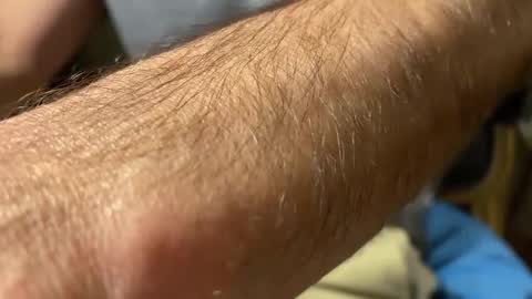 lupushorny online show from 20, 9, 2025