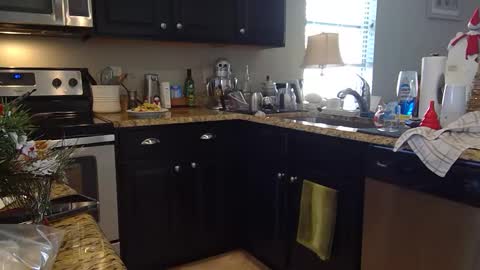 Snapshot of lusterandsp1ce chatting on 6, 12, 2024 lustersp1ce online show from 6, 12, 2024