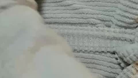 Snapshot of lustgardener67 chatting on 9, 12, 2024 lustgardener67 online show from 9, 12, 2024