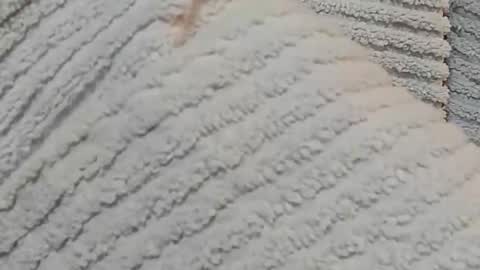 Snapshot of lustgardener67 chatting on 15, 12, 2024 lustgardener67 online show from 15, 12, 2024