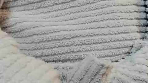 Snapshot of lustgardener67 chatting on 15, 12, 2024 lustgardener67 online show from 15, 12, 2024