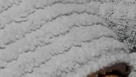 Snapshot of lustgardener67 chatting on 3, 2, 2025 lustgardener67 online show from 3, 2, 2025