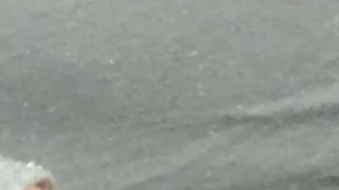 Snapshot of lustgardener67 chatting on 4, 2, 2025 lustgardener67 online show from 4, 2, 2025