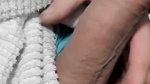 Snapshot of lustgardener67 chatting on 4, 2, 2025 lustgardener67 online show from 4, 2, 2025