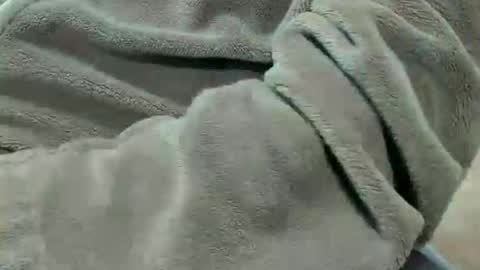 Snapshot of lustgardener67 chatting on 7, 10, 2025 lustgardener67 online show from 7, 10, 2025