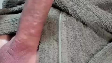 lustgardener67 online show from 3, 2, 2026