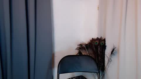 lustyseraphina online show from 20, 2, 2026