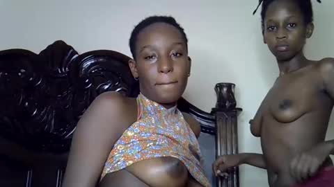 lutino_lovebirds online show from 12, 3, 2026