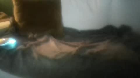 luvbigtits271 online show from 1, 1, 2025