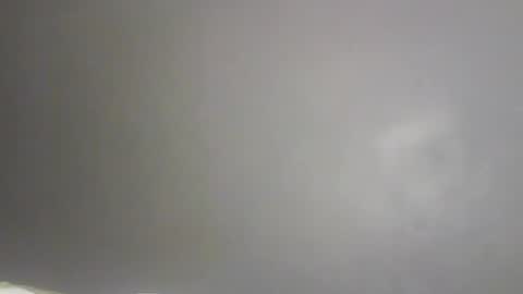 Bee Bee online show from 9, 2, 2026