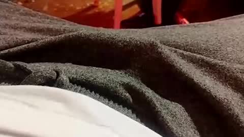 Snapshot of lvacd11 chatting on 21, 12, 2024 Lvac11 online show from 21, 12, 2024