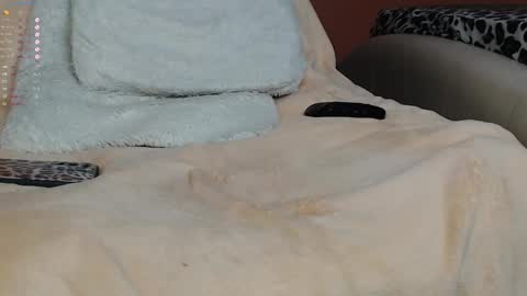 Snapshot of lxlpalmalxl chatting on 18, 1, 2025 Palma online show from 18, 1, 2025