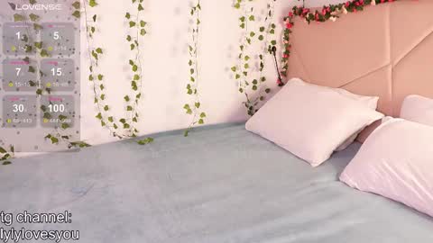 Snapshot of lyly_loveyou chatting on 15, 11, 2025 Lyly online show from 15, 11, 2025