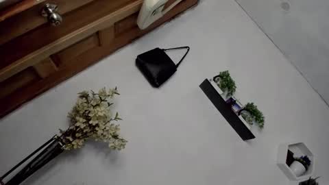 Snapshot of m1ssjanelana69 chatting on 16, 12, 2025 Janelovesu online show from 16, 12, 2025