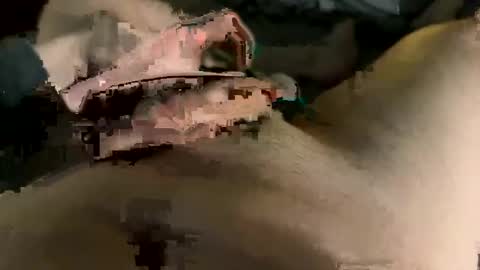 Snapshot of maasssiv chatting on 2, 3, 2025 Maasssiv online show from 2, 3, 2025