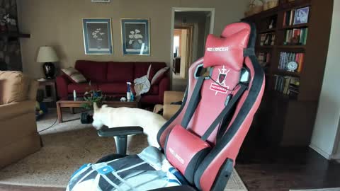 machinecumkelly69 online show from 21, 9, 2025