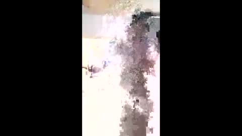 Snapshot of maciasbraulio846 chatting on 3, 2, 2026 maciasbraulio846 online show from 3, 2, 2026