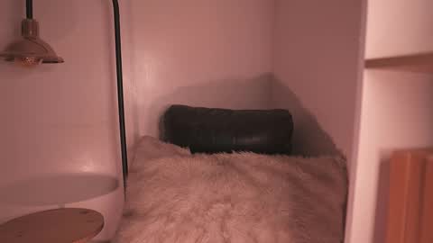 Noah Askew online show from 15, 12, 2025