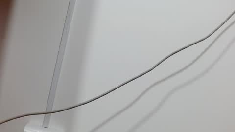 Maddy UwU online show from 21, 12, 2024