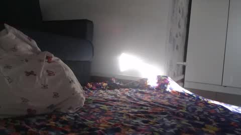 Julia online show from 30, 3, 2026