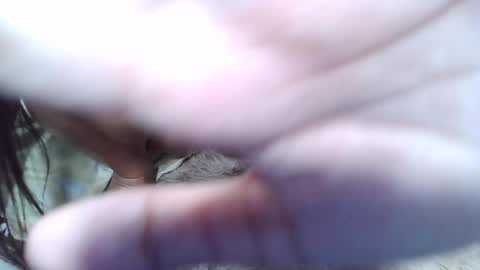 maegold69 online show from 23, 1, 2025