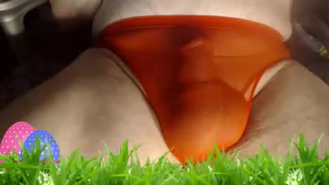 maestro2017 online show from 9, 4, 2026