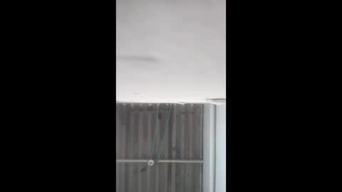 maicolzarate19 online show from 9, 5, 2026