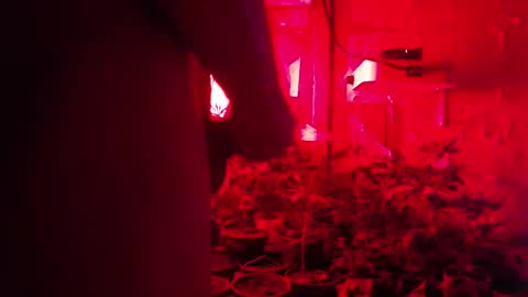 Snapshot of maicom222 chatting on 12, 10, 2025 SILVA online show from 12, 10, 2025