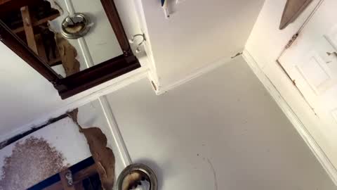 Snapshot of mainecollegeboy chatting on 15, 9, 2025 mainecollegeboy online show from 15, 9, 2025