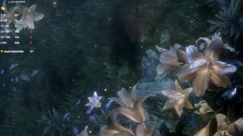 piu online show from 26, 3, 2026