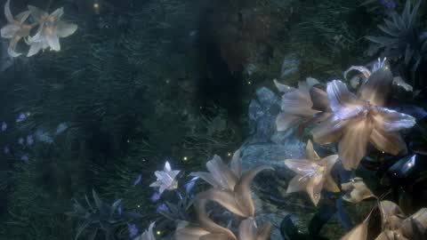 piu online show from 2, 4, 2026