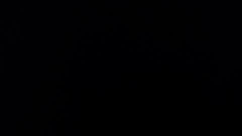 Alice Asylum online show from 16, 11, 2025