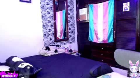   online show from 19, 1, 2026