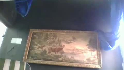 mamacitacooock online show from 4, 4, 2026